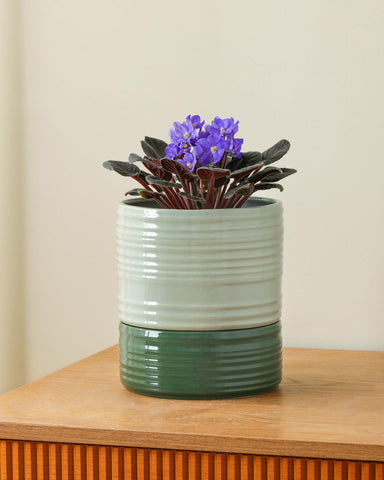 Fayoula striped ceramic pot with wick rope illustrates a stylish watering system.