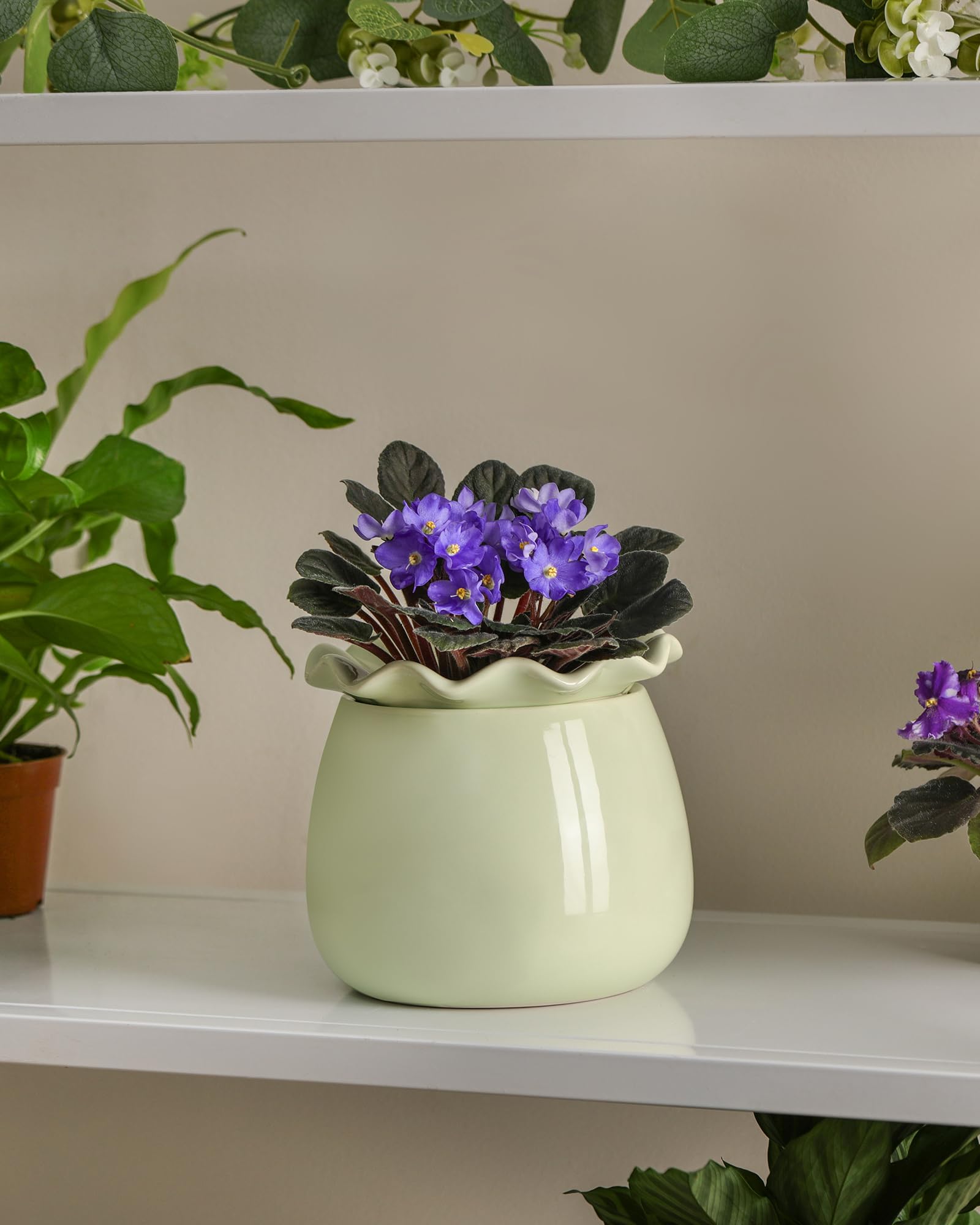 Fayoula sturdy green ceramic pot supports various indoor plants.