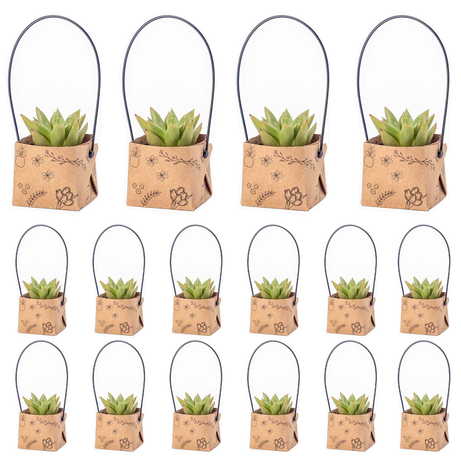 Fayoula succulent wrap bags secure a 2-inch pot with style.