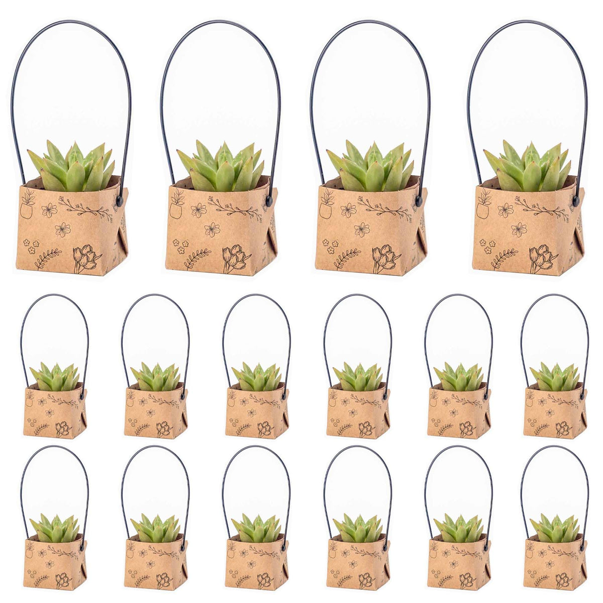 Fayoula succulent wrap bags secure a 2-inch pot with style.
