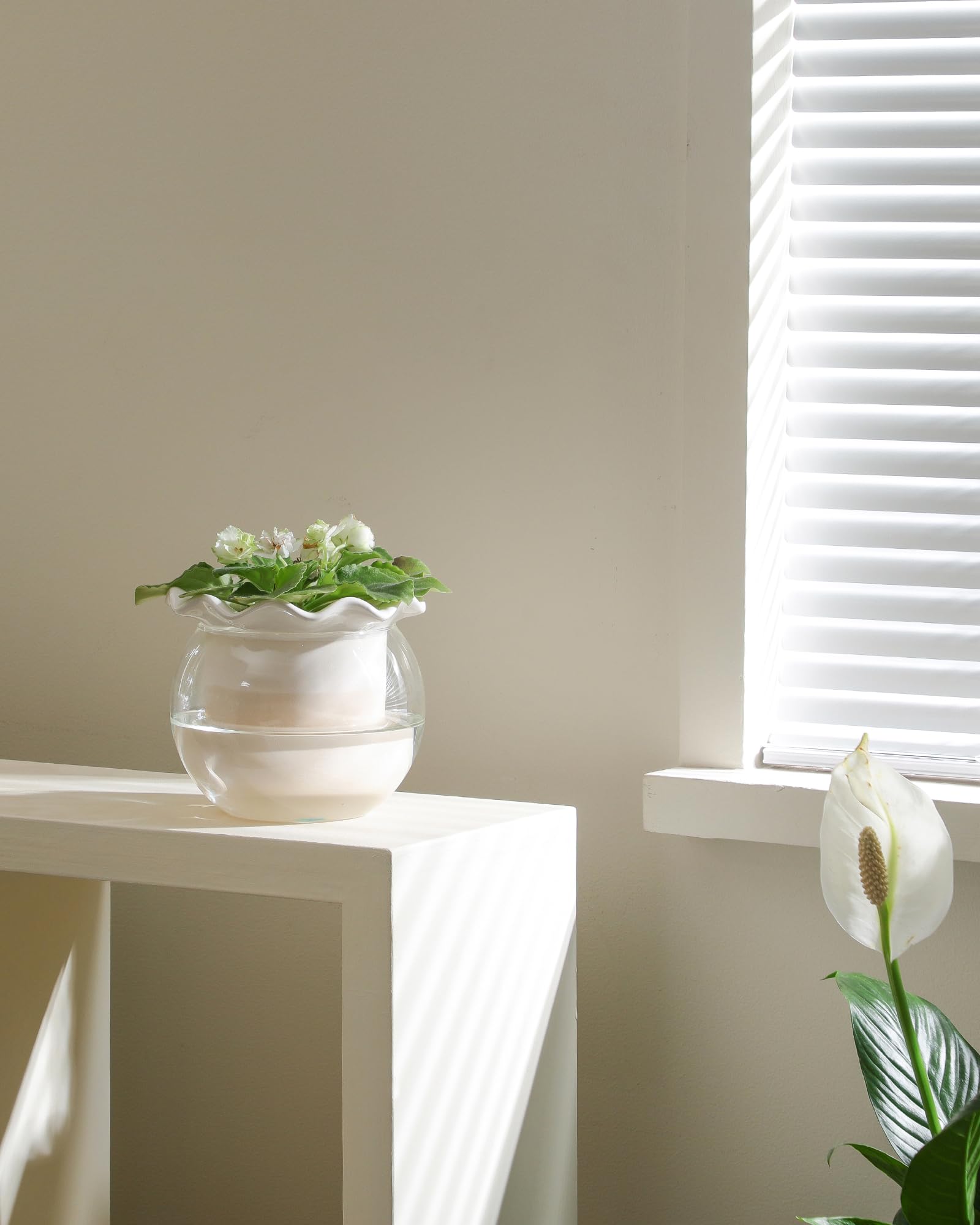 Fayoula versatile indoor planter supports violets, pothos, herbs, and succulents.