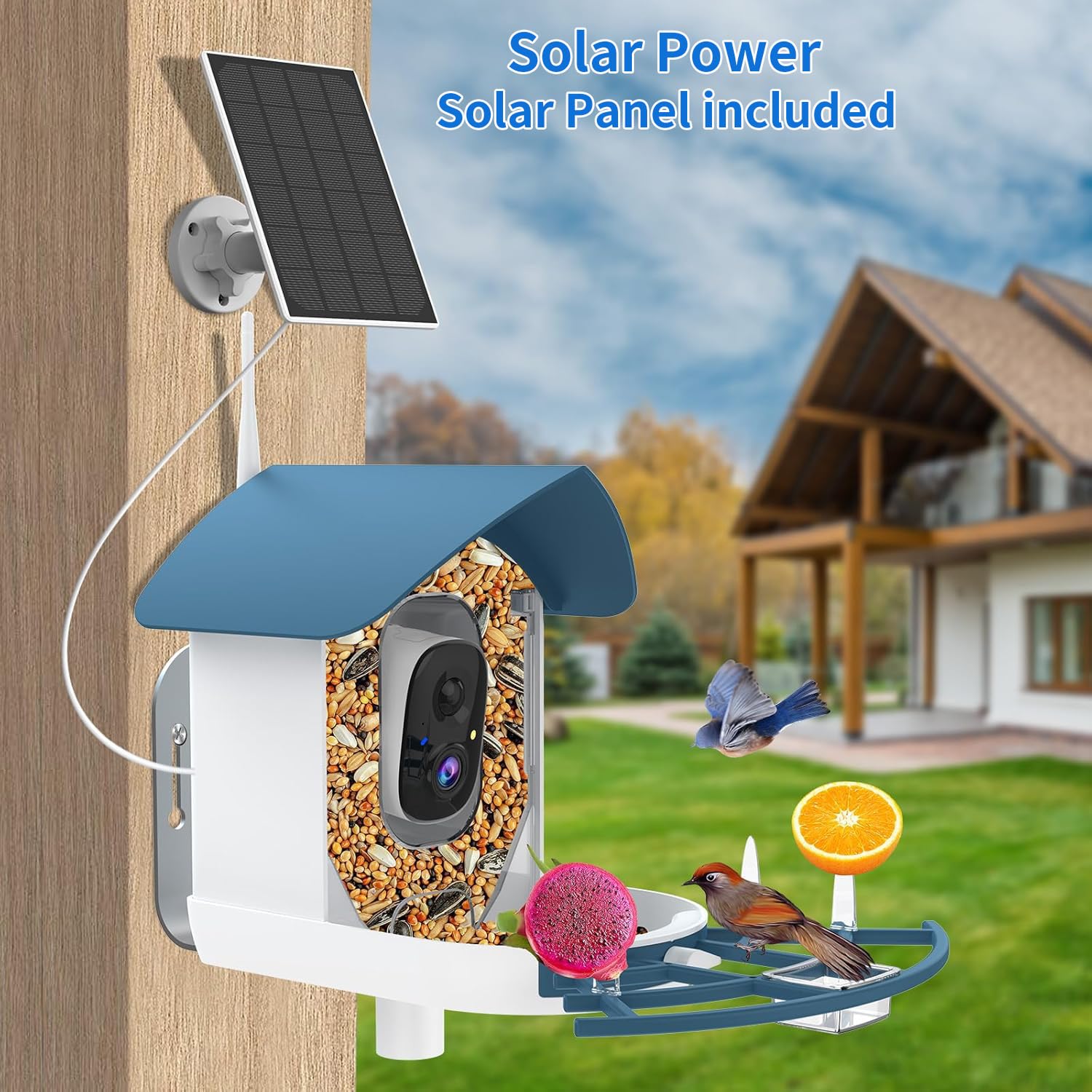 Fazoxo Bird Feeder Camera daytime recording and motion alerts for active birds