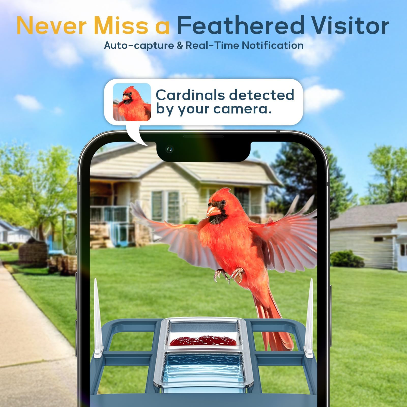 Fazoxo bird feeder camera night vision captures movement after dark