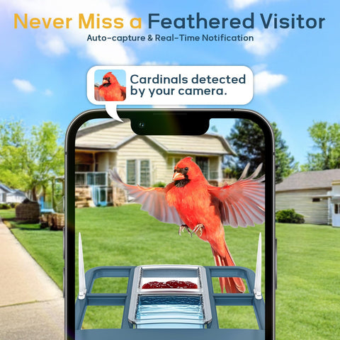 Fazoxo bird feeder camera night vision captures movement after dark