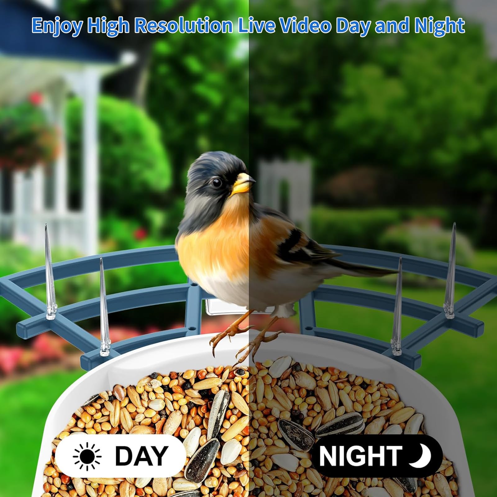 Fazoxo Bird Feeder Camera mobile app with real-time notifications and control