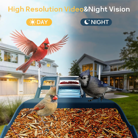 Fazoxo cloud notifications alert you to bird visits