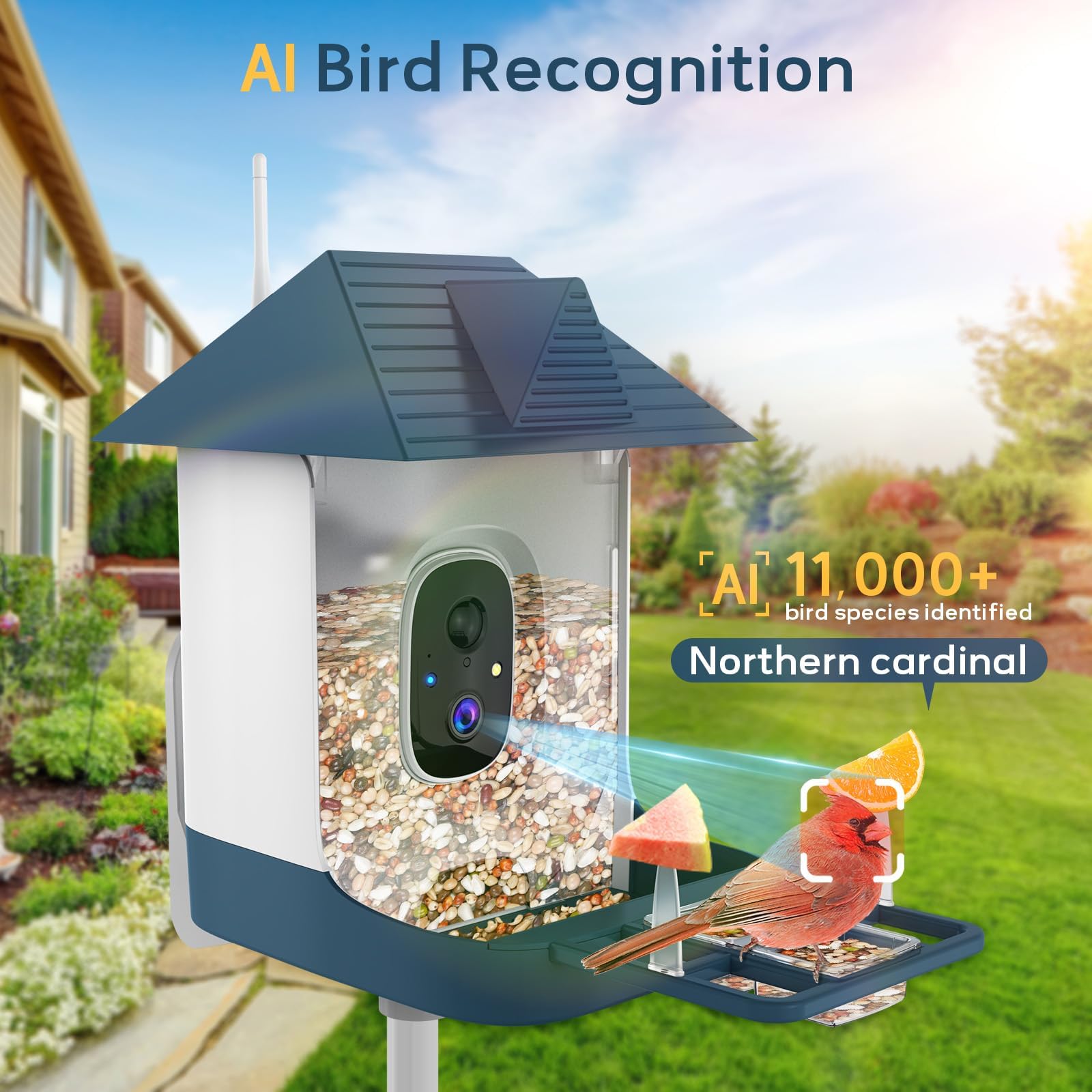 Fazoxo solar-powered bird feeder for continuous outdoor use