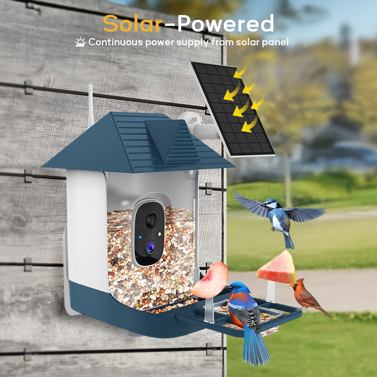 Fazoxo weatherproof IP65 bird feeder withstands all weather