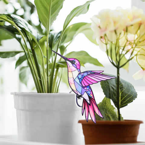 FBBP Valentine's Day gift for women enhances her plant display
