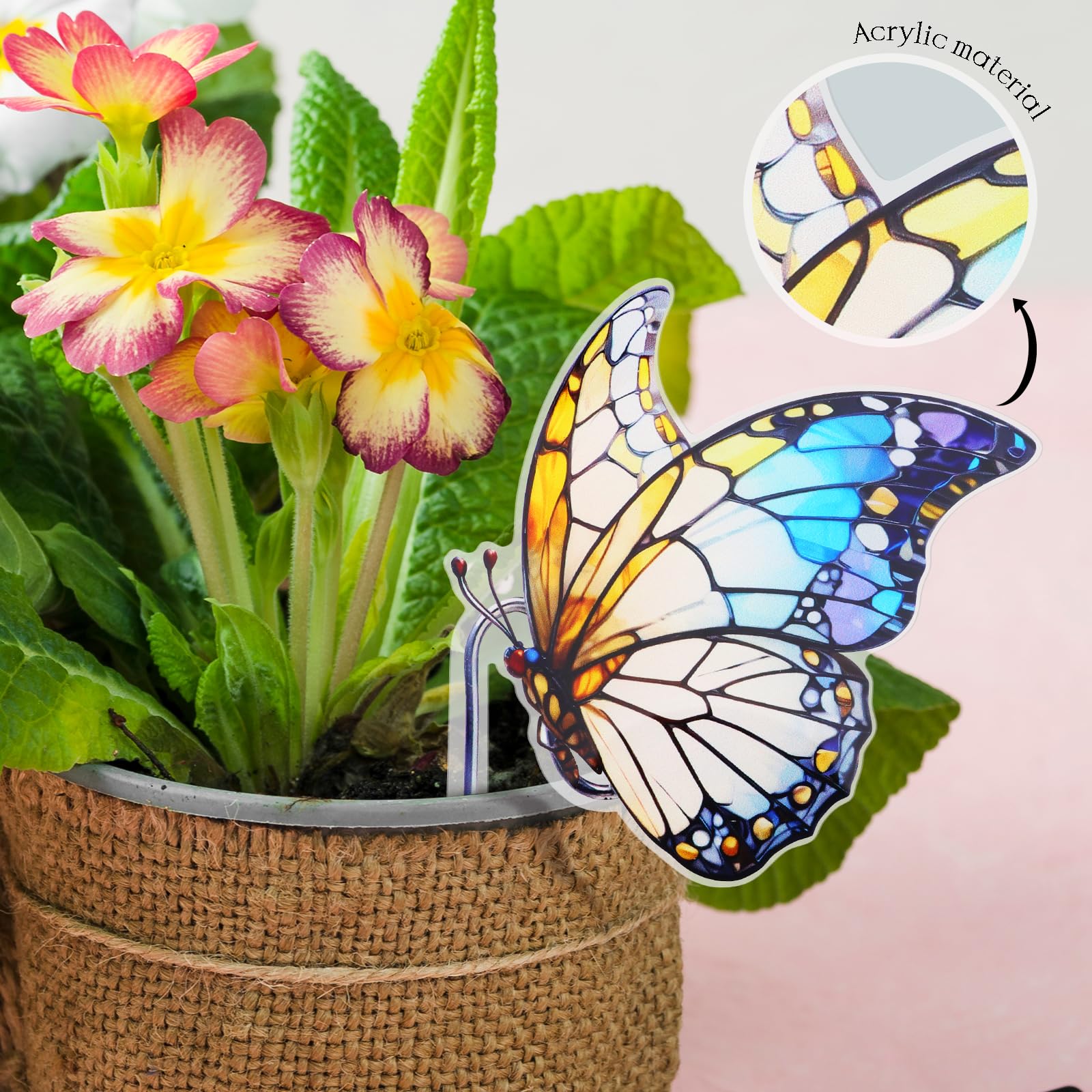 FBBP hanging planter acrylic decoration for quick pot upgrades