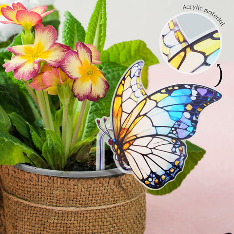 FBBP hanging planter acrylic decoration for quick pot upgrades