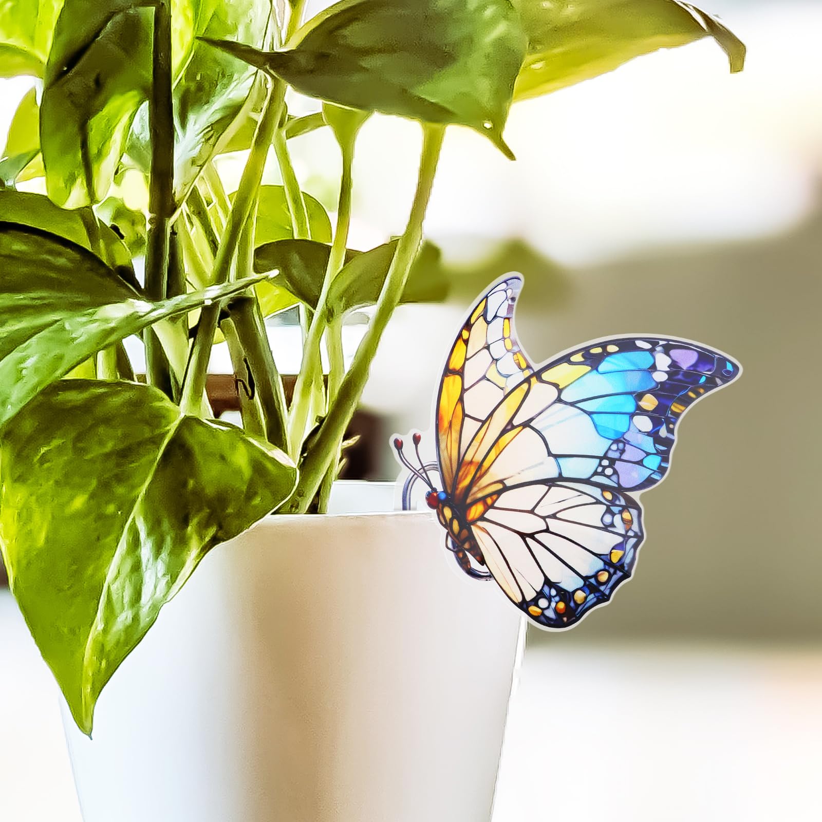FBBP mom gift for bird lovers, enhances garden and home spaces