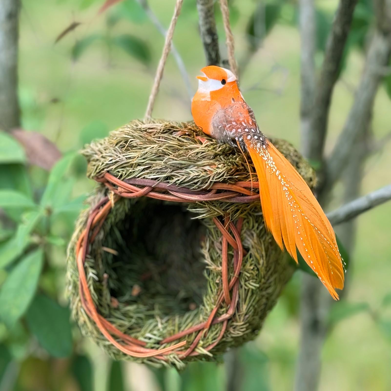 FBIRDY durable outdoor birdhouse built to withstand weather and season changes.