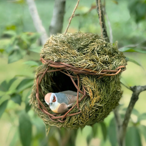 FBIRDY garden decor birdhut in situ adds greenery and supports wildlife.