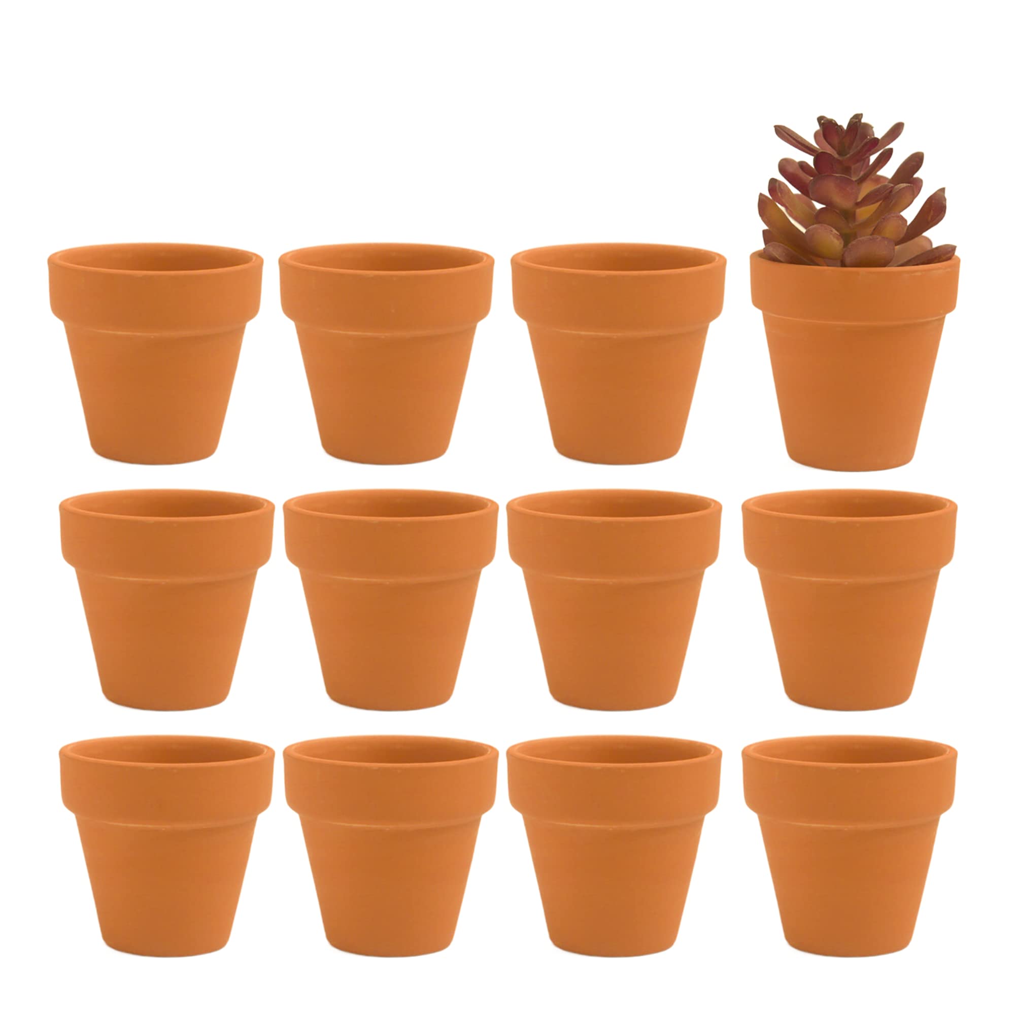 Fcacti 12-pack mini clay pots with drainage holes for healthy irrigation.