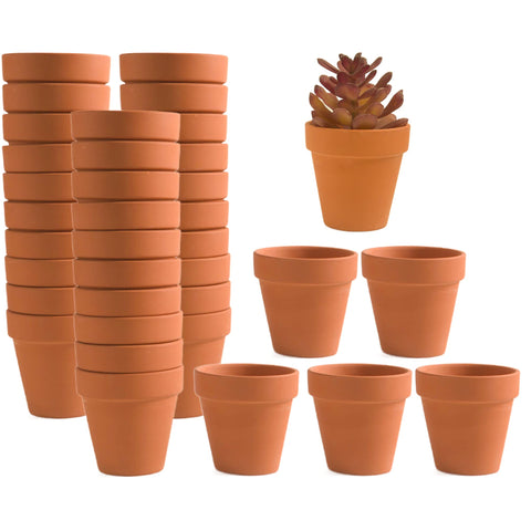 Fcacti 36-pack mini terracotta pots with drainage holes for healthy succulents.