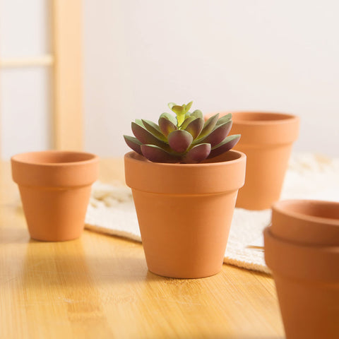 Fcacti craft-friendly terra cotta pot for DIY centerpieces and gifts.