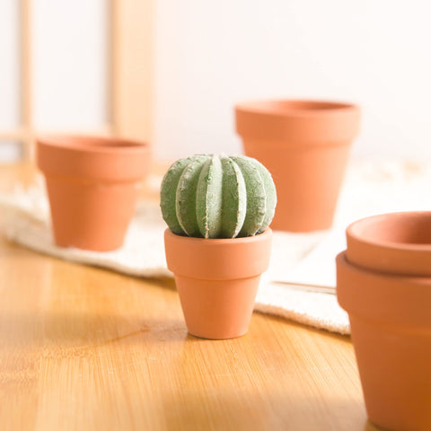 Fcacti 1.5-inch terracotta pots in a 10-pack, ideal for starting seeds.