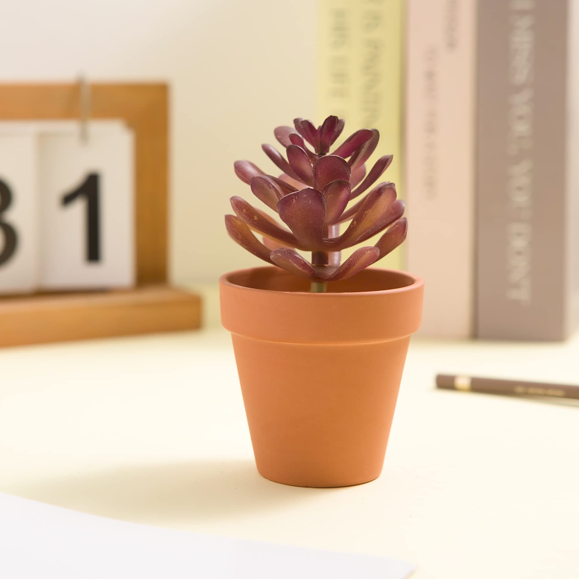 Fcacti premium mini pots with crack resistance for long-lasting planters.