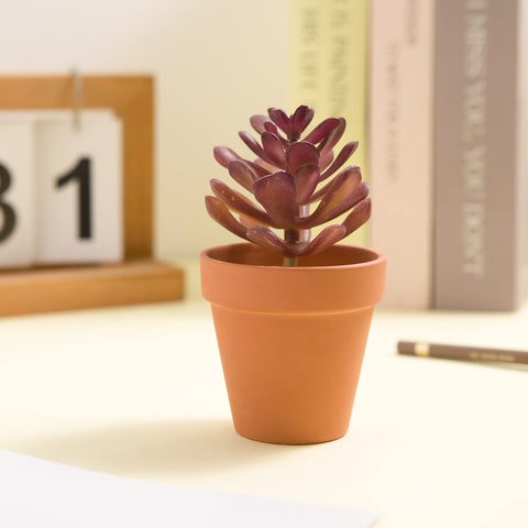 Fcacti premium mini pots with crack resistance for long-lasting planters.