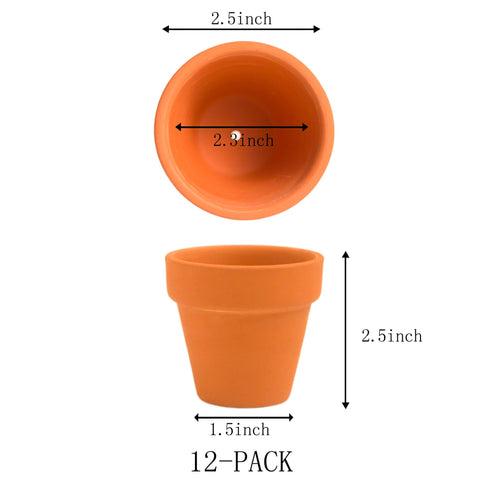 Fcacti terracotta 2.5-inch pot ideal for small succulents and decor.