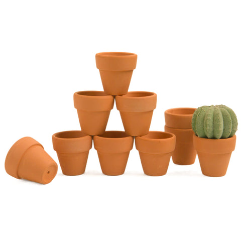 Fcacti 1.5-inch terracotta pot with drain hole, perfect for seedlings and small herbs.