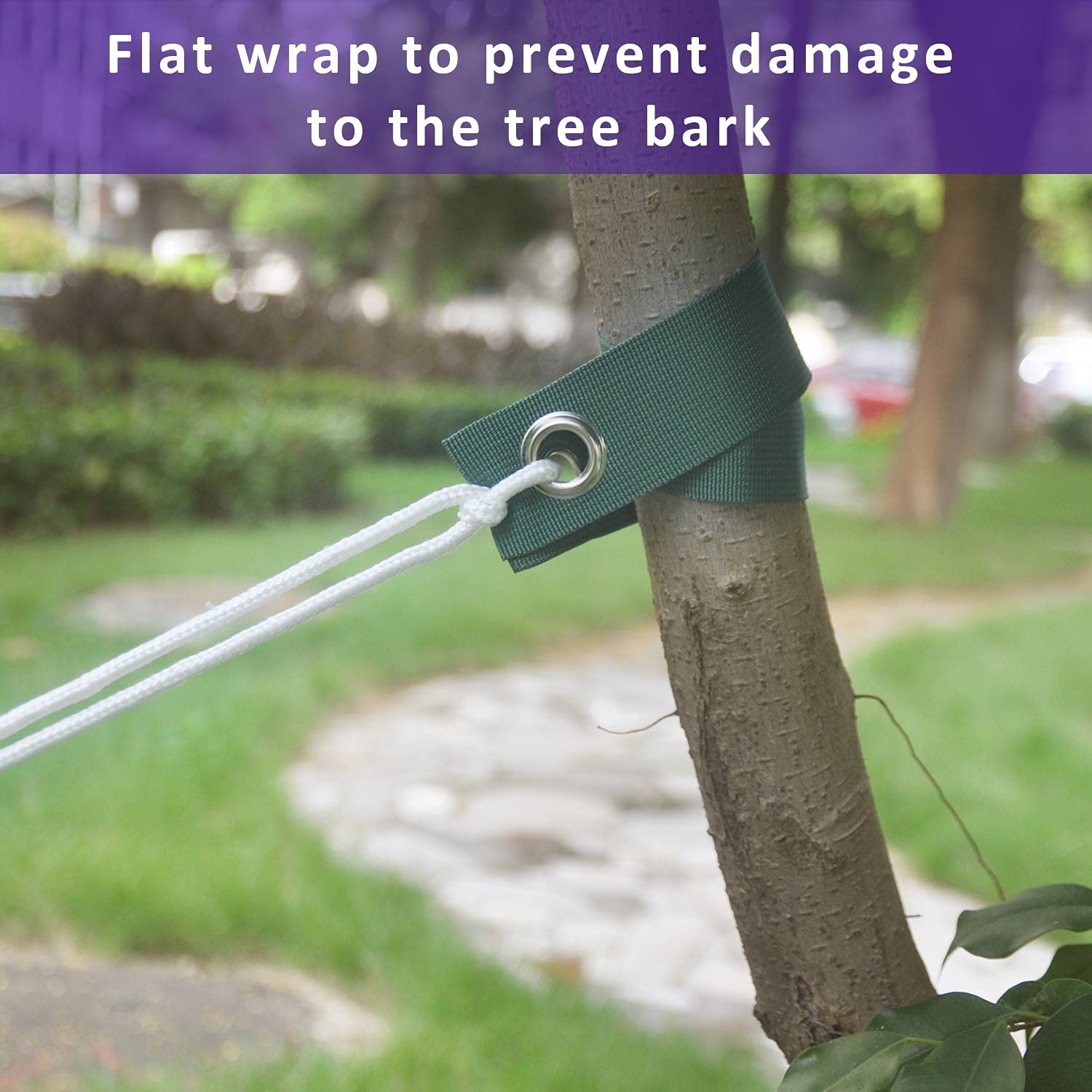 FCENDS 31-2 feet rope—reliable anchoring to stabilize trunks in wind.