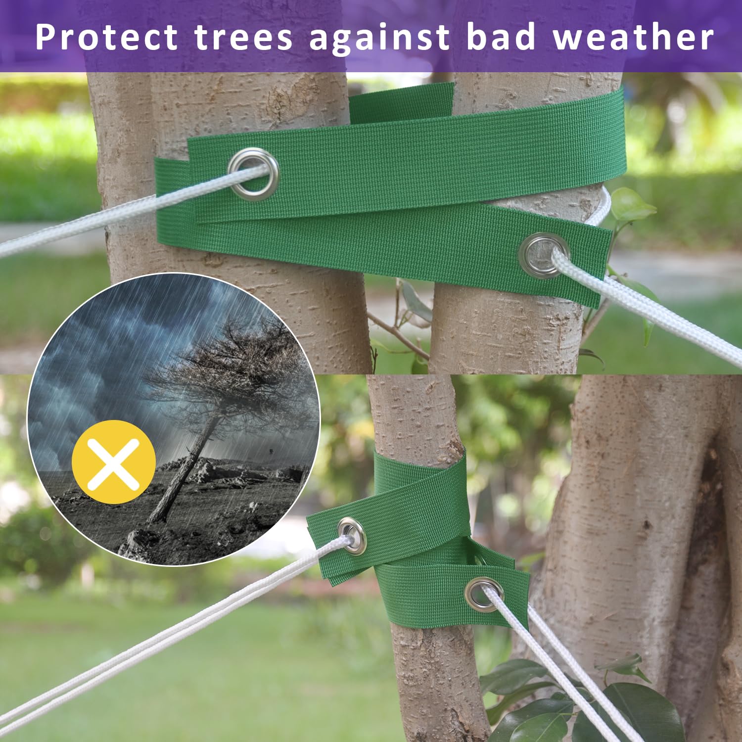 FCENDS Hurricane protection tree straps supporting young trees.