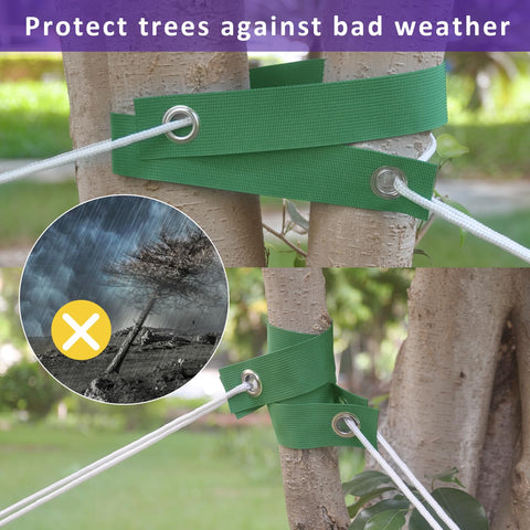 FCENDS Hurricane protection tree straps supporting young trees.