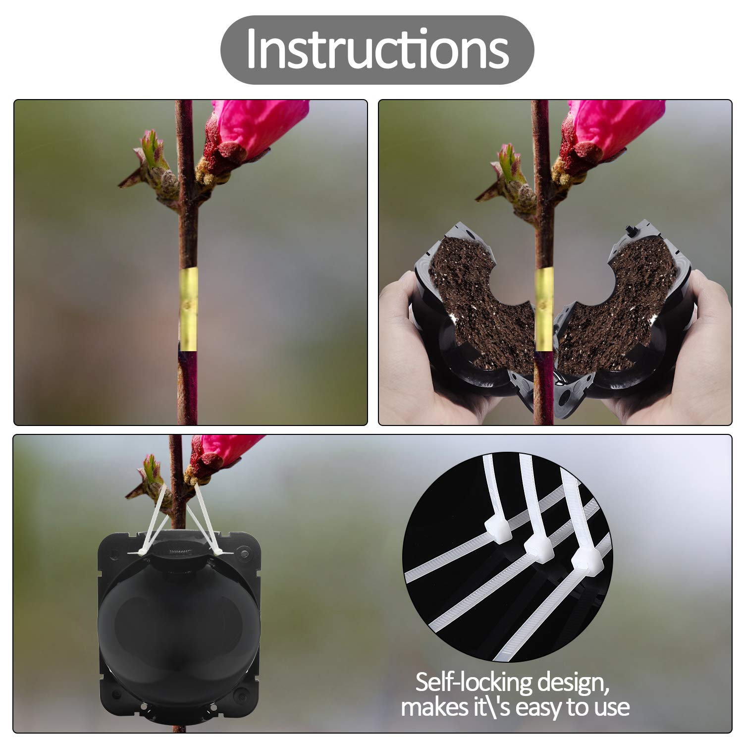 FCENDS PP plastic material ensures durable, reusable propagation boxes.