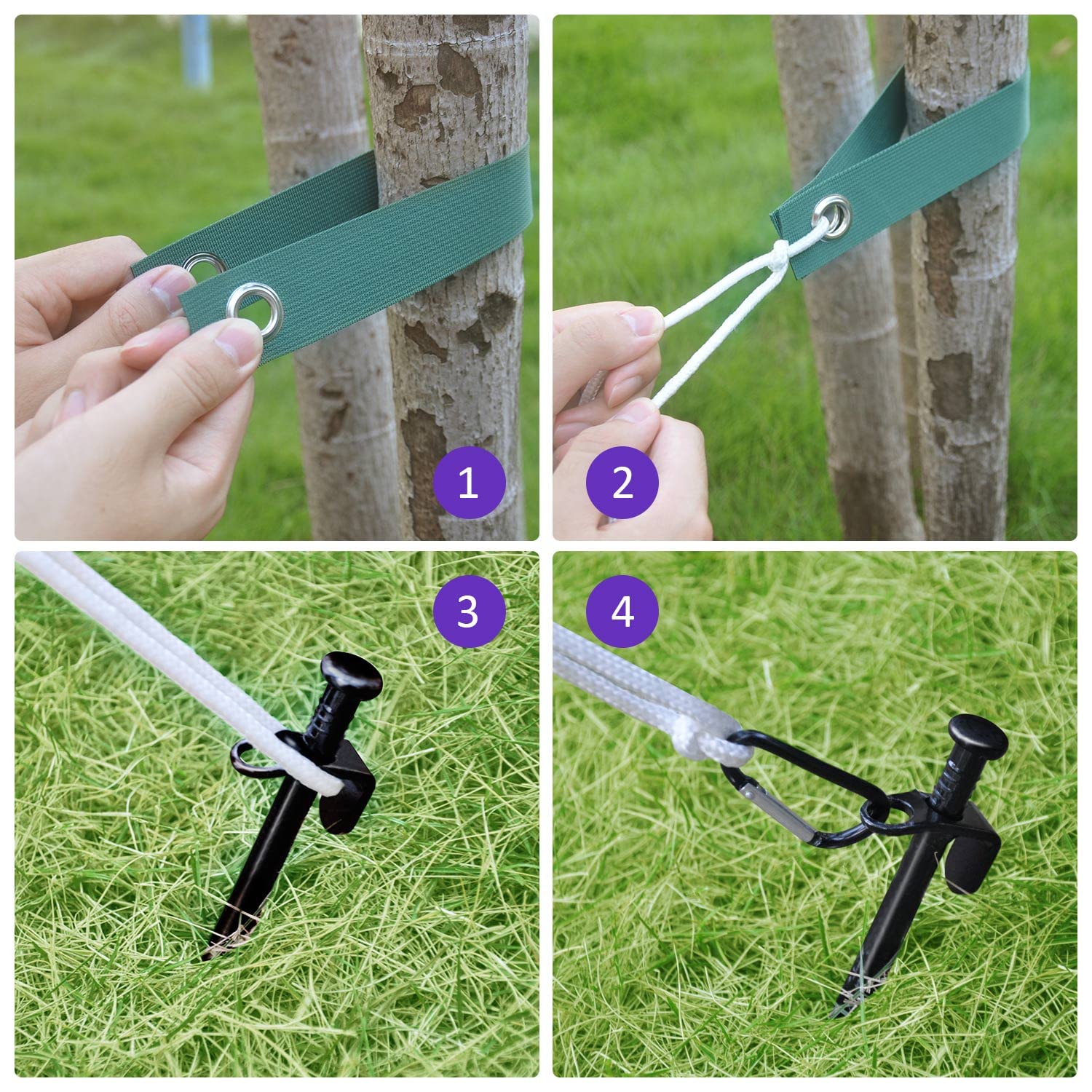 FCENDS tree strap ties securing a young tree upright for straight growth.