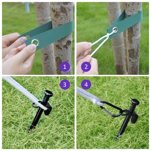 FCENDS tree strap ties securing a young tree upright for straight growth.