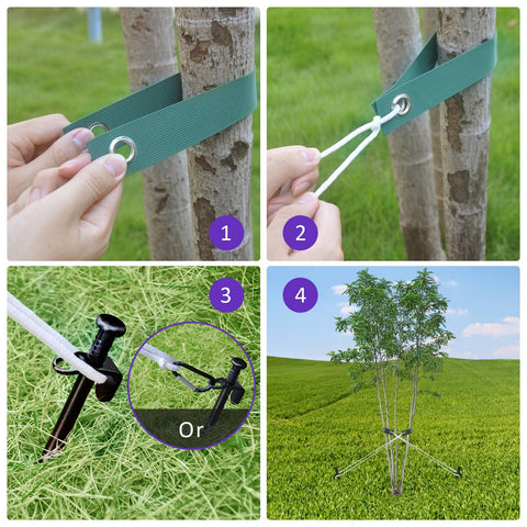 FCENDS tree strap kit—adjustable ties for secure staking and upright tree growth.
