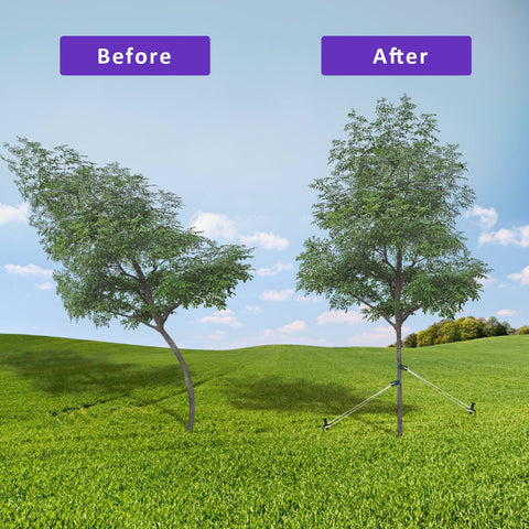 FCENDS versatile garden stakes—also suitable for tents and outdoor projects.