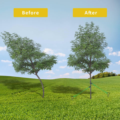 FCENDS weather-resistant ropes stay strong for outdoor tree anchoring.