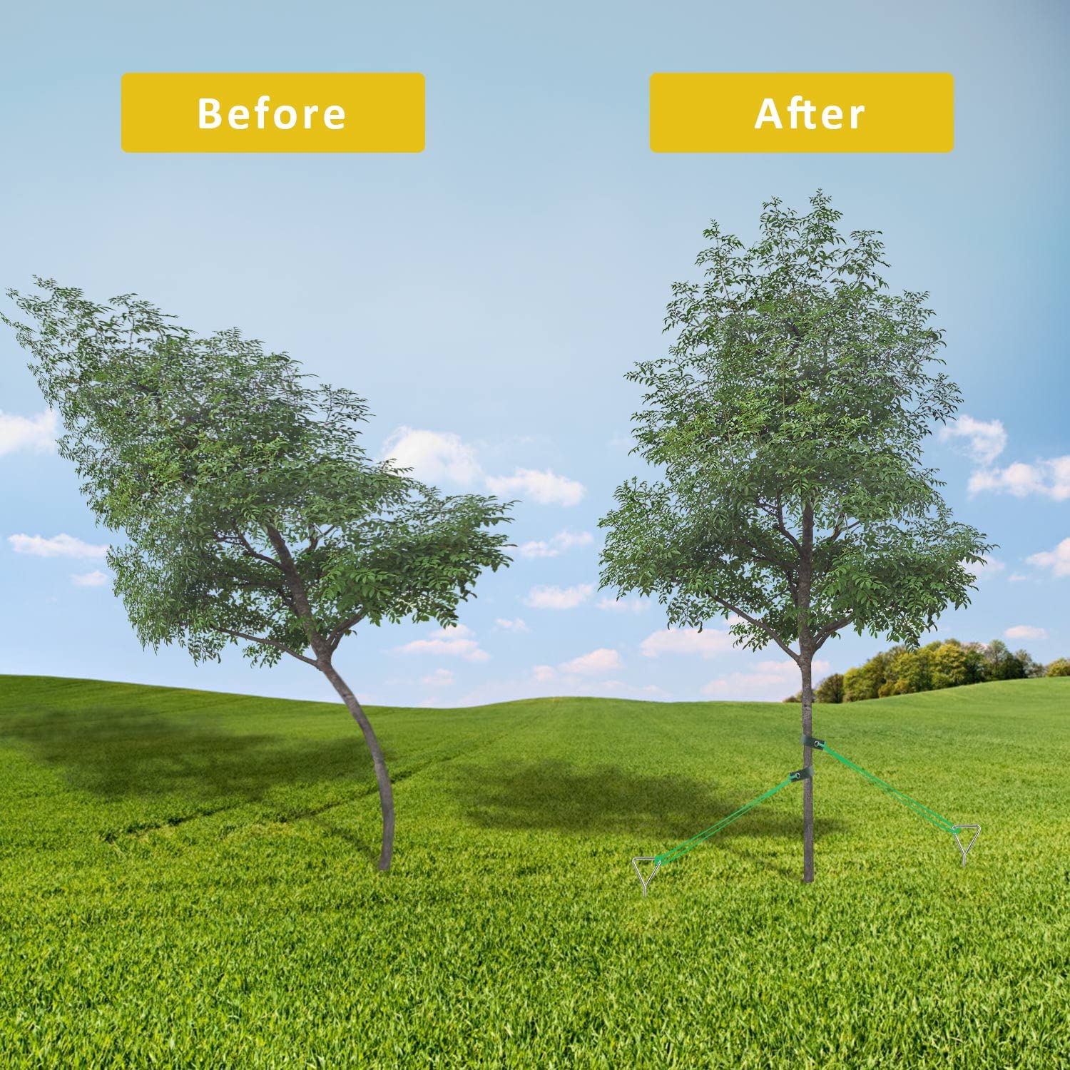 FCENDS kit suits garden, soil, sand, and general outdoor staking needs.
