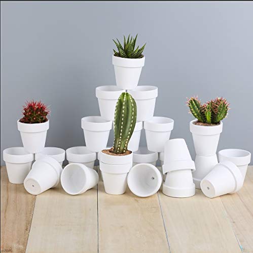FCFKUK 24-piece mini clay pots in terracotta for small plants and succulents.
