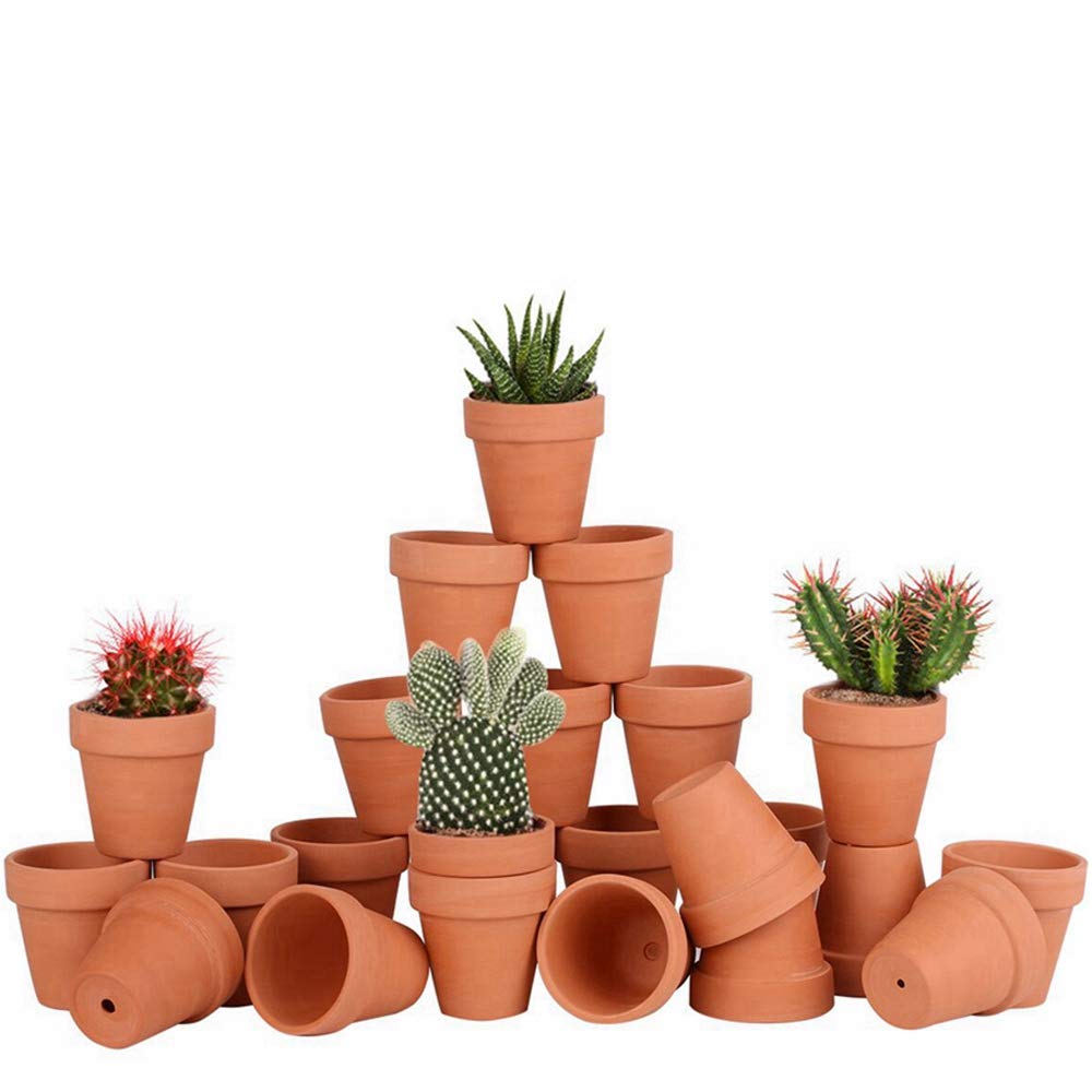 FCFKUK 24pcs mini clay pots with drainage holes for healthy root aeration.