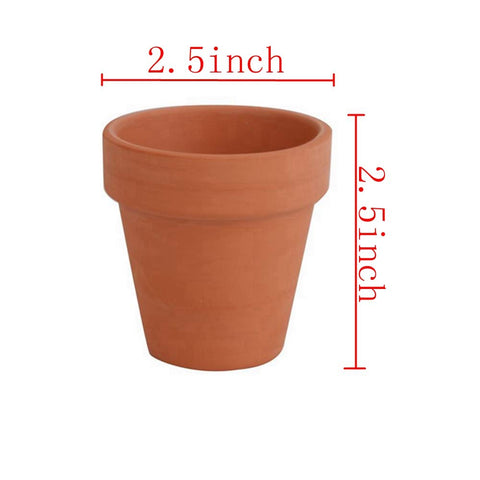 FCFKUK 24-pack provides gift-ready planters for weddings and housewarmings.
