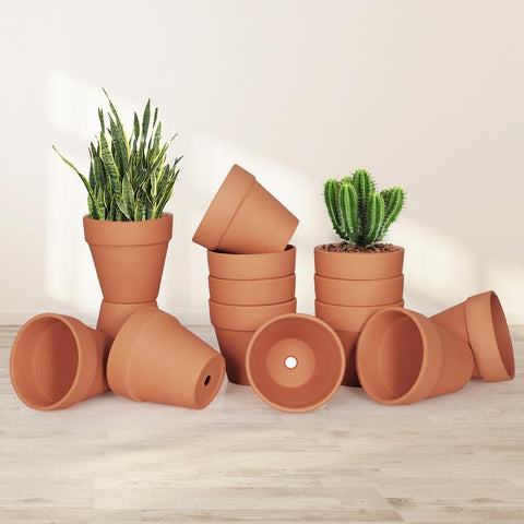 FCFKUK indoor/outdoor terracotta pot versatile for herbs, flowers, or crafts.