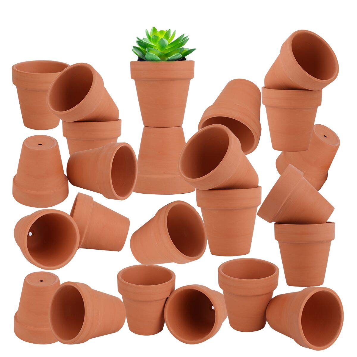 FCFKUK succulent cactus pot enhances rustic décor and easy care.