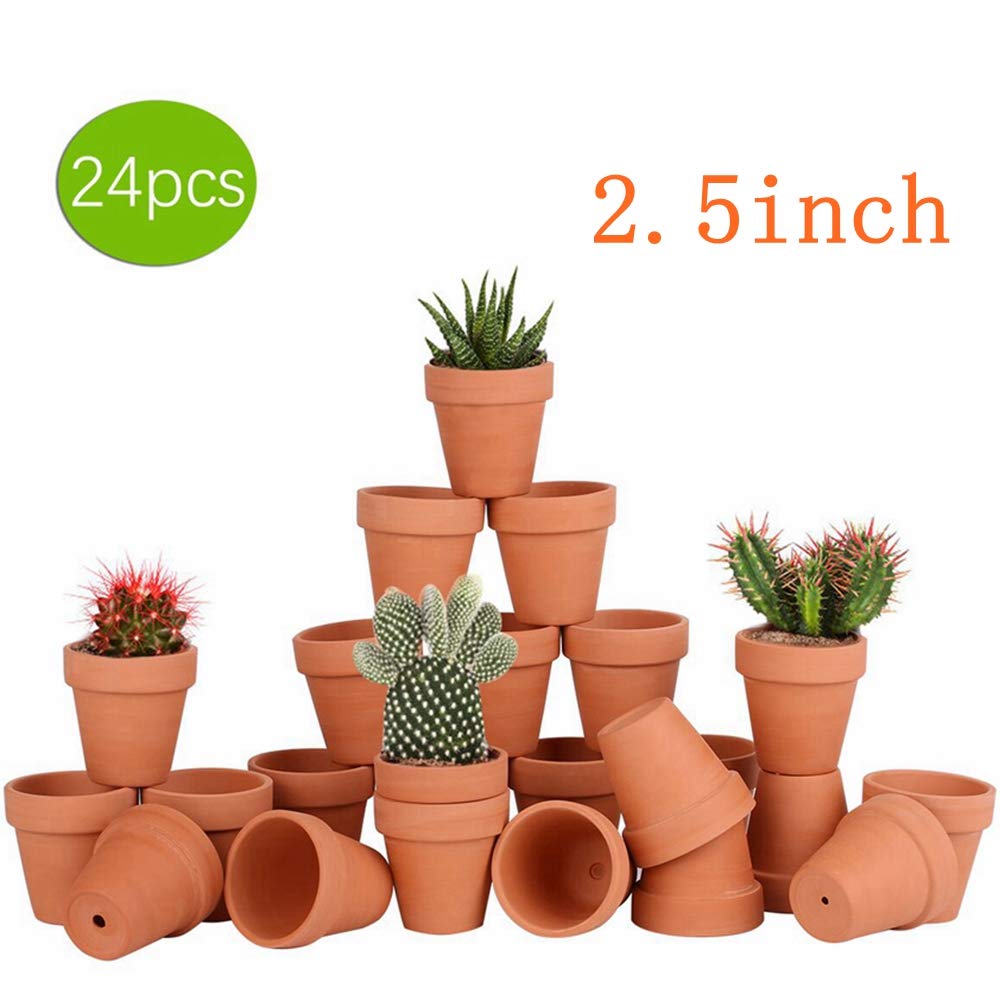 FCFKUK terracotta planters, 2.5-inch, ideal for small succulents and cacti.