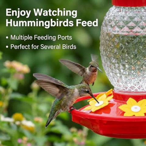 Fchstaer ant-proof design keeps nectar tidy for birds