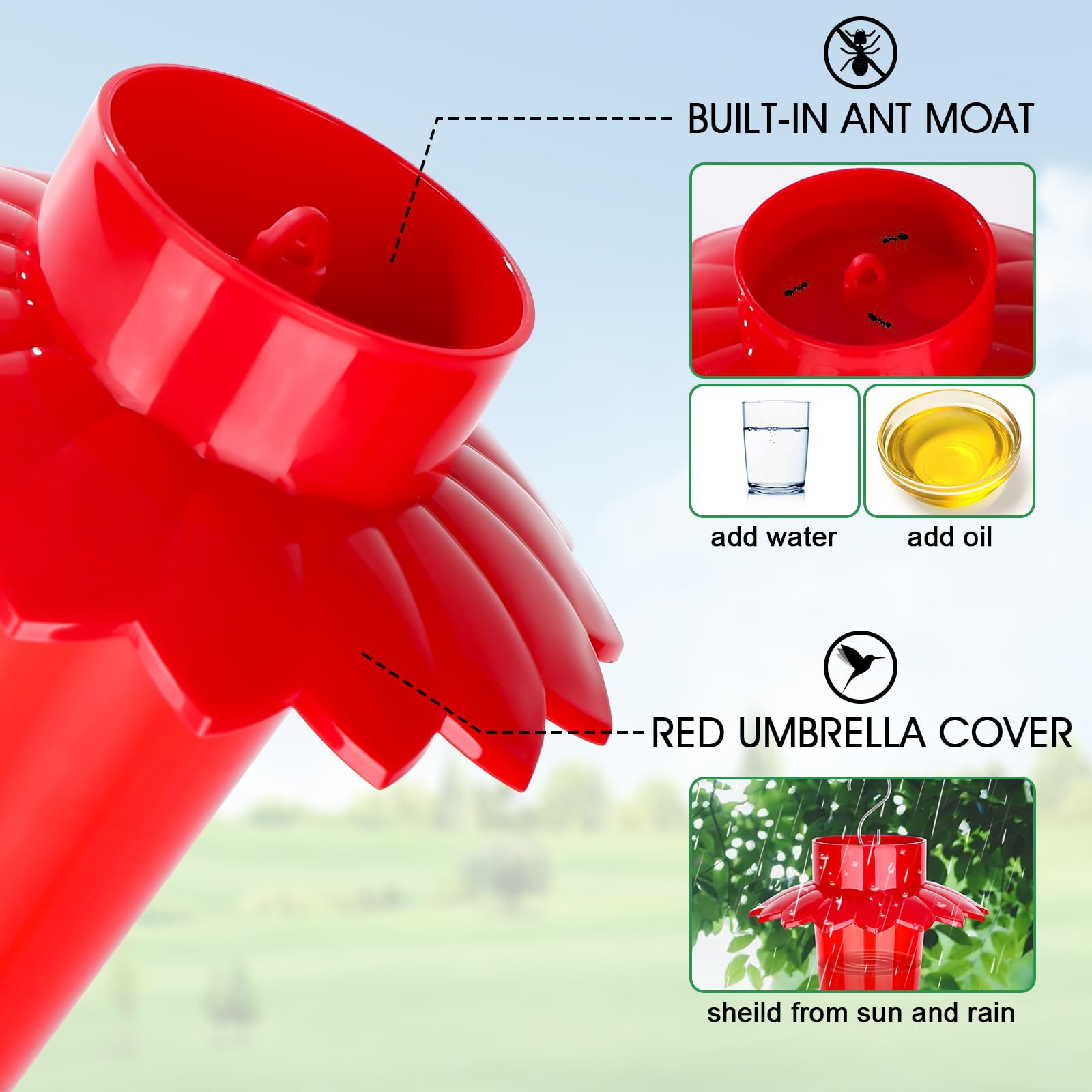 Fchstaer feeder with ant moat protects nectar from insects