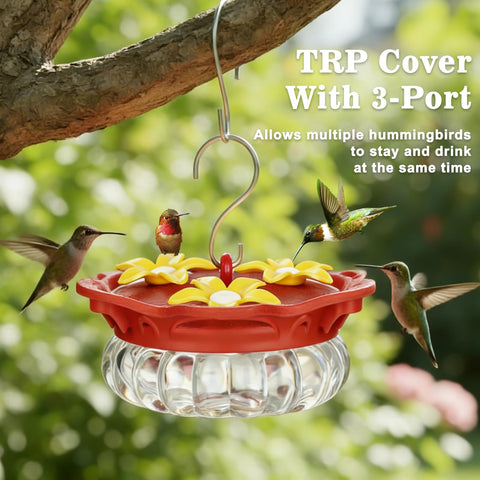 Fchstaer handheld hummingbird feeder for close observation and garden delight.