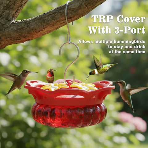 Fchstaer handheld hummingbird feeder enables close viewing of birds.