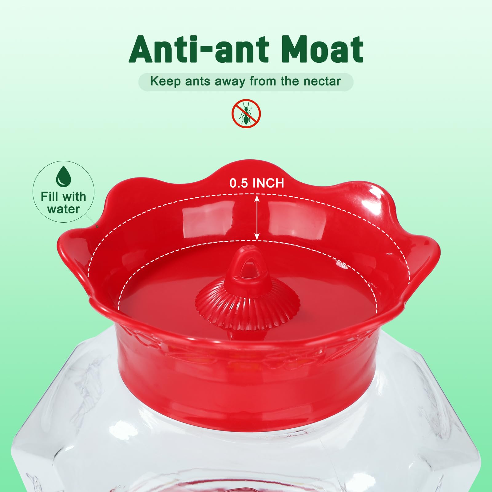 Fchstaer feeder with ant moat deterring ants during feeding