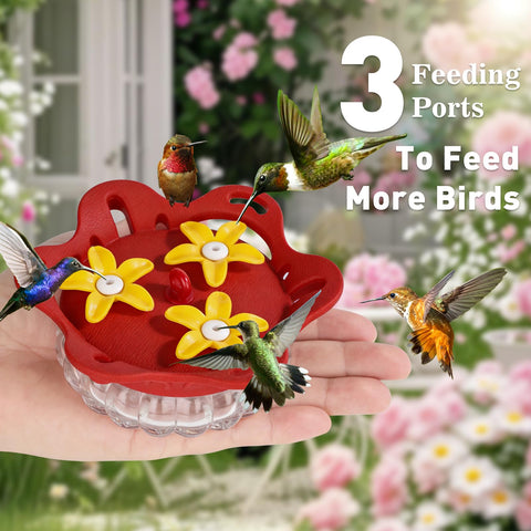 Fchstaer lid-top-fill design enables easy nectar top-up and cleaning.