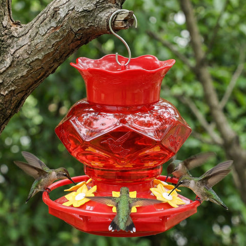Fchstaer outdoor hanging hummingbird feeder 2 pack ready for garden display.