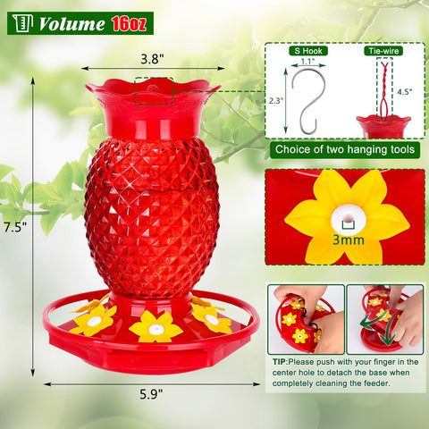 Fchstaer built in perch supports comfortable feeding for hummingbirds